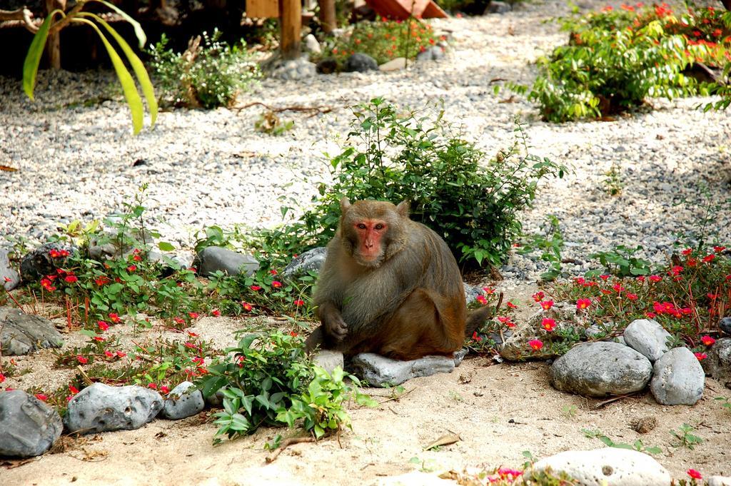 Monkey Island Resort Cat Ba Island Exteriér fotografie